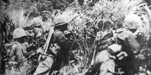 월남전 안케패스 전투