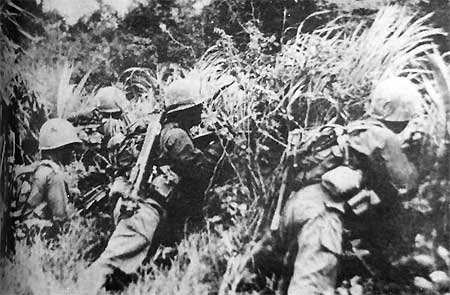 월남전 안케패스 전투